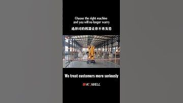 Shandong Kewei Robot Co., LTD#palletizingrobot #factory #automobile #stacker