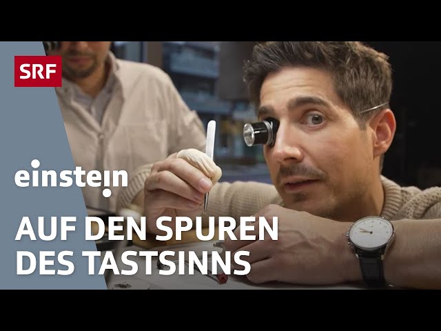 Der menschliche Tastsinn: Mit Hightech in die Zukunft von Prothesen und Co. | Einstein | SRF