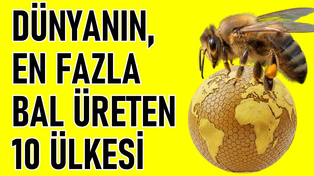 Dünyanın En Fazla Bal Üreten 10 Ülkesi! Türkiye'de Bal Üretimi