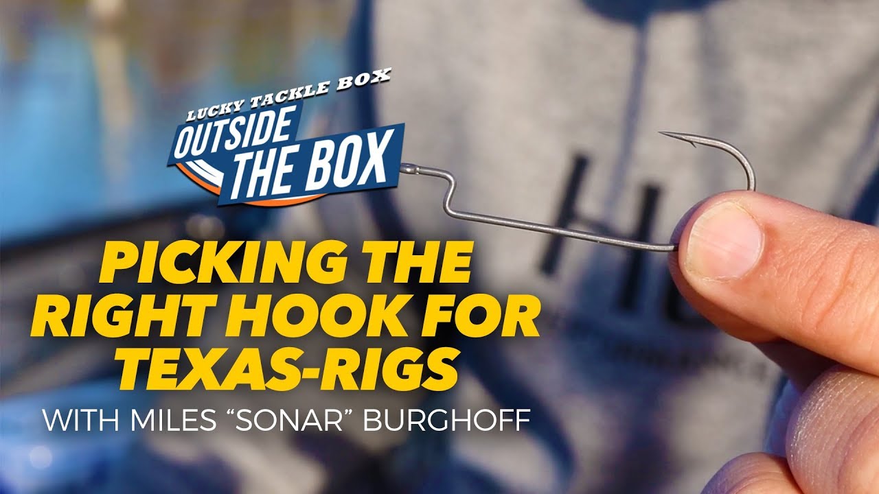 Best texas rig hook : r/Fishing_Gear