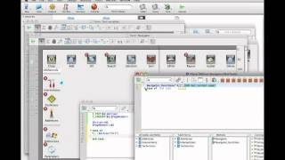 4D v13 Self-Training (DE): Generisches Programmieren