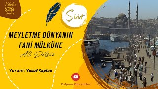 Ali Dilsiz | Meyletme Dünyanın Fani Mülküne - Yusuf Kaplan Yorumuyla #şiir Resimi