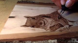 Squirrel fur burning demonstration