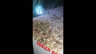 Download Lagu RBW 4x5 || Suara Inap (SI) Joss  20JT, mampu mempertahankan anakan digedung kita MP3