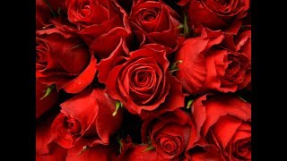 Do You Love Me? - Sharif Dean & Evelyne‎‎ ‎‎D'Haese‎‎ (With lyrics).