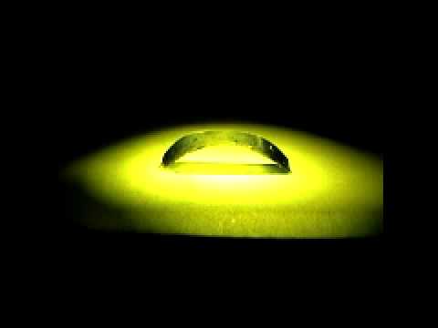 supramolecularpolymer vis