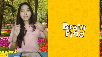 Brain Find Level 19 What is the highest peak in the world Walkthrough