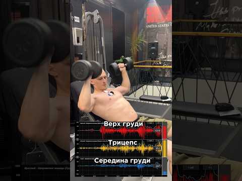 За персональным планом тренировок/питания обращаться в телеграмм:@TrainerSmirnoVV