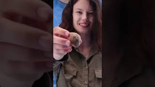 Je tes kohkoh au Maroc🇲🇦