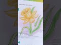 #Daffodil flower#oil pastel