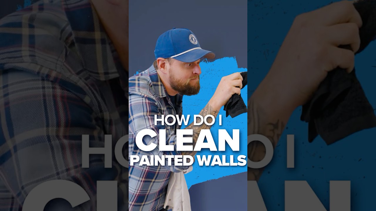 How Do You Clean a Painted Wall?, watch the video