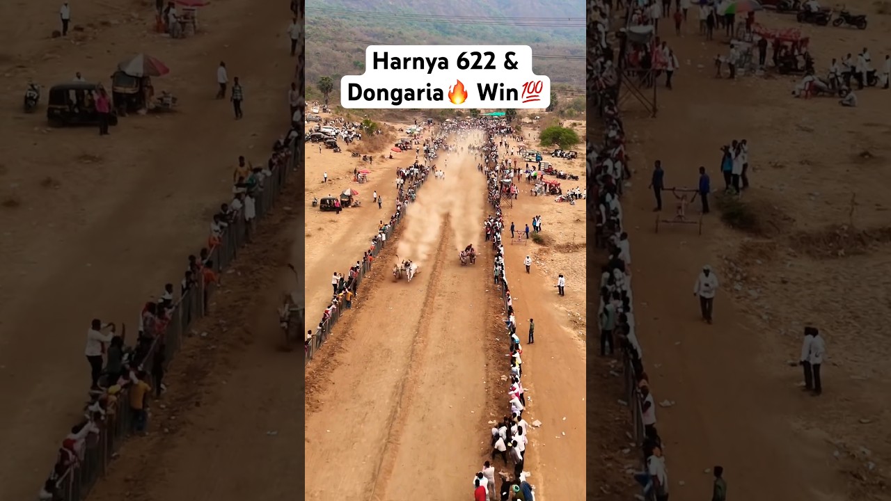 Mp King dongariya 👑👑👑😎😎