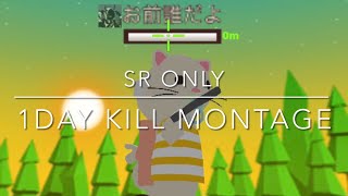 【Milkchoco Online】SR only 1day kill montage