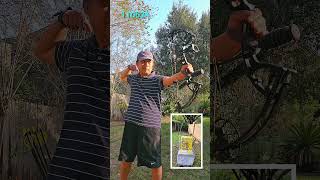 110624 #beararchery