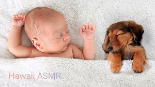 SOMMEIL RAPIDE pour BÉBÉ avec ce Très Doux Bruit de Pluie 🌧️ The Sweetest Rain To Put Baby To Sleep