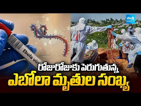 రోజురోజుకు పెరుగుతున్న ఎబోలా మృతుల సంఖ్య | Ebola Virus Updates | Africa | Sakshi TV - SAKSHITV