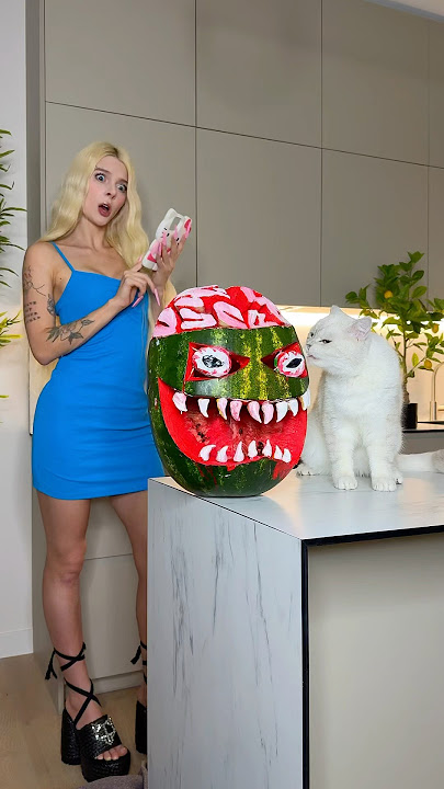My cat scares me every day🍉😱 #cat #cats