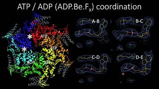 Prof. Chris Hill - Structural insights to the mechanism of AAA unfoldases