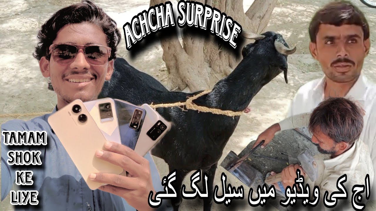 Aaj ki video mein selag Gai😍