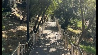Taşacak Bu Deniz Esme Yoğun Bakım
