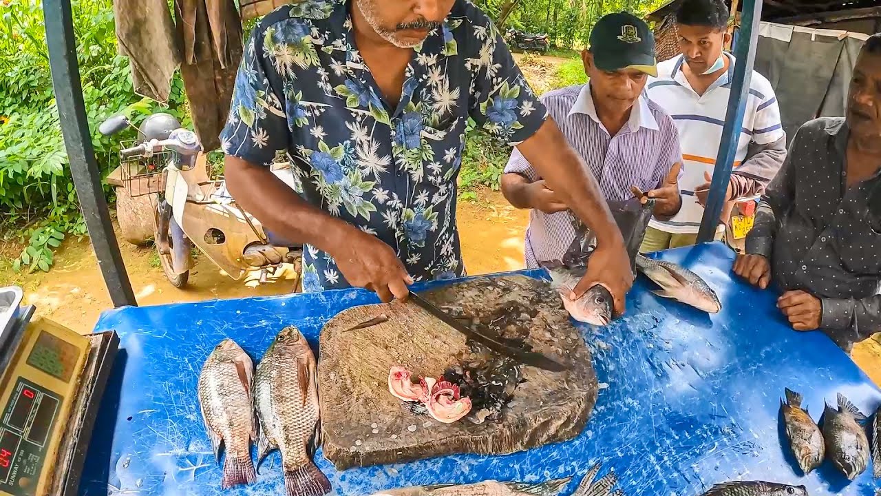 Fastest Clever Fish Cutting Skills In Sri Lanka | Live Tilapia Fish Cutting