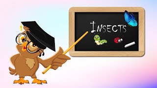 English for kids. Insects. Английский для детей. Тема: Насекомые