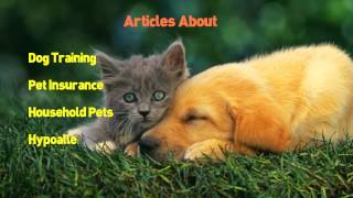 Dog| 1800 PLR |Pet| Articles Plus |Dog|,|Cat|,|Dog Health| Ebooks Plus Bonus