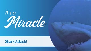 Episode 25, Season 2, It's a Miracle  Hurricane Andrew Miracle; Shark Attack; Double Angels; Gus