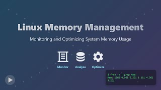 Linux Memory Management: Monitoring &amp; Optimization for Beginners 🚀