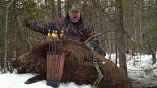 How To Hunt Boar - Russian Boar Bow Hunt Northern Michigan