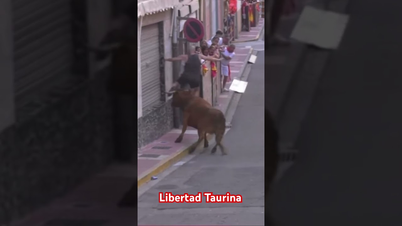 ¿Has visto algún recorte como este? #libertad #recortadores #calle #vaca #toro #azagra #navarra