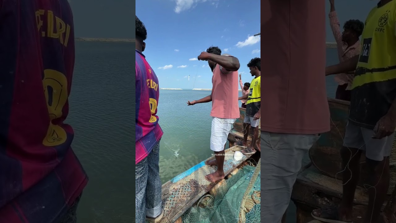 Village boys cleaver idea! Diy fish trap result! 