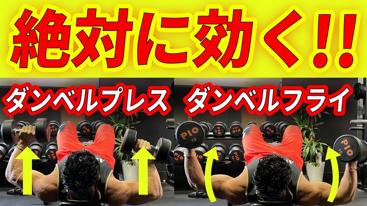 ダンベルフライとダンベルベンチプレス】正しいフォームと使い分け徹底