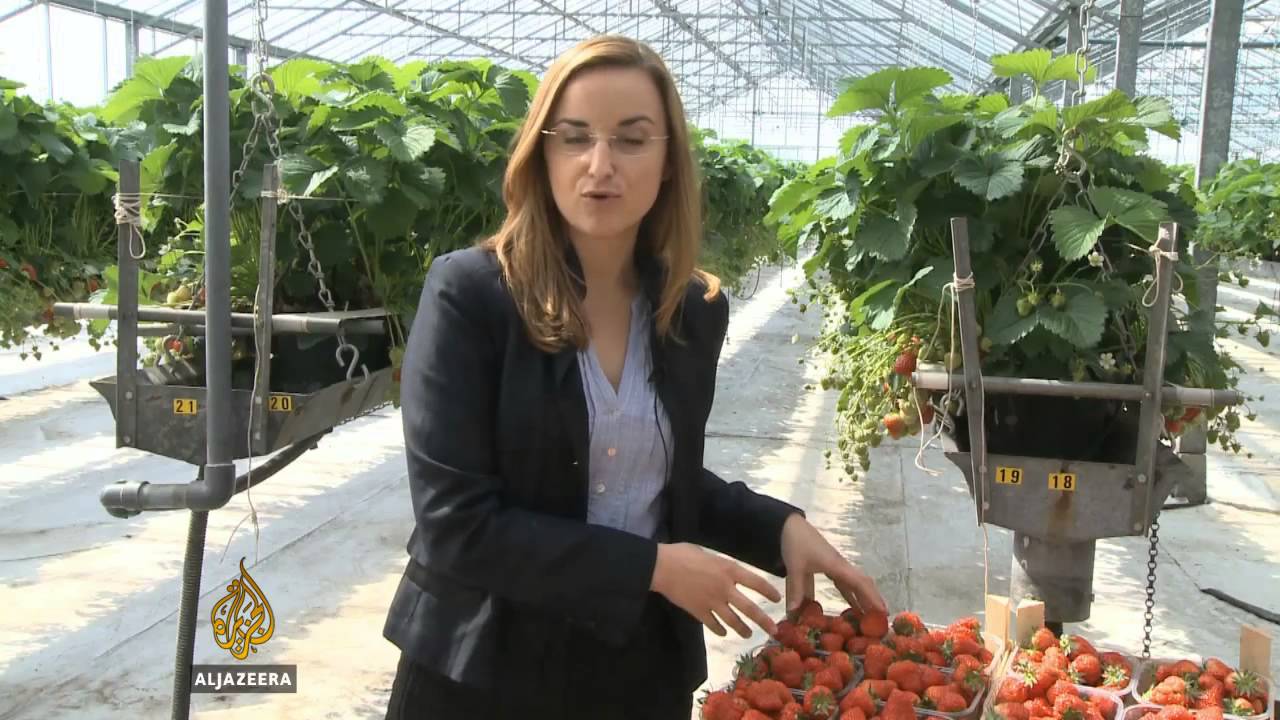 شركة عائلية تخدم أوروبا بأكملها - الجزيرة البلقان