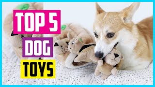 Best Dog Toys On Amazon In 2024