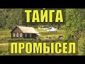 ПРОМЫСЕЛ в ТАЙГЕ ЖИЗНЬ в ЛЕСУ РАССКАЗЫ БЫВАЛЫХ ОХОТНИКОВ ИСТОРИИ из ЖИЗНИ СУДЬБА ЧЕЛОВЕКА ИЗБА