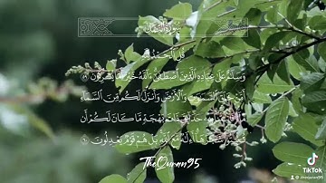 ايات من سورة النمل للقارئ الشيخ احمد النفيس#قرآن #احمد_النفيس #حالات #تلاوات