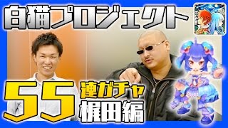 【白猫】#15 ノアを狙って55連ガチャ！（マフィア梶田編）【4GamerSP】
