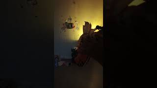 gexhjsrrujhri5c UK yietdfmxtn MV, asrurjwksuicfh, 7c, jfor7
