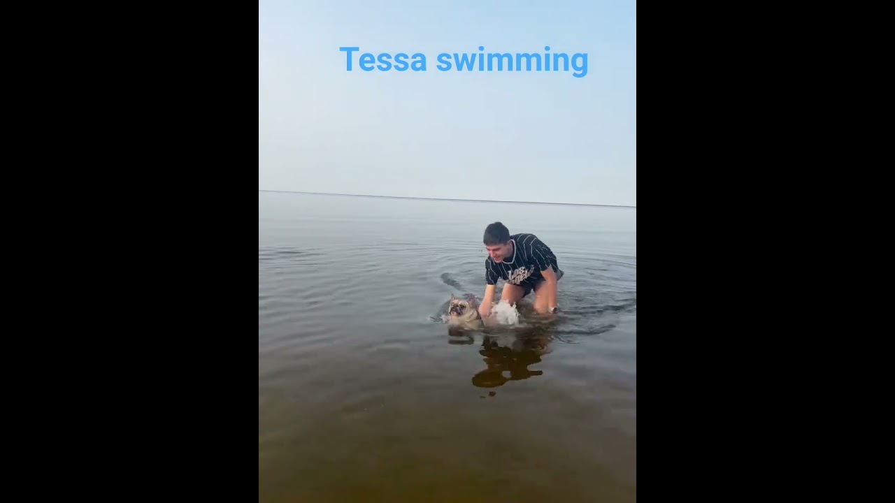 Тесса плаває 