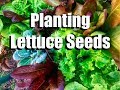 Planting Lettuce -Transitioning from Warm Weather Veggies to Cool Weather Veggies // Fall Garden #2