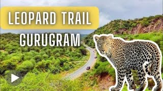 Jungoo cafe leopard 🐆 trail  vlog 14