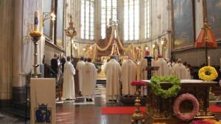 Video voorbeeld van "Tongeren - Onze lieve vrouw - Lied"