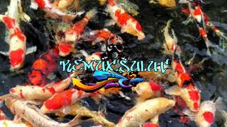 OTO SO SAMBAR \