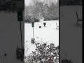 Video Of Snow Falling 