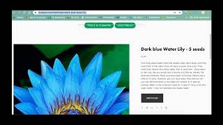 Citing an Image in MLA Format (using Noodletools)