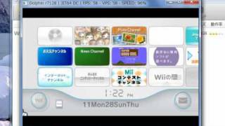 Dolphin test.avi