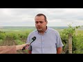 Ploaia și grindina din raionul Basarabeasca: ce culturi au fost afectate?