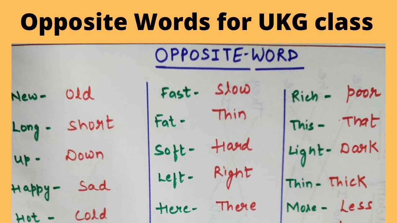 opposite words for lkg ukg class littlemillennium gwalior oppositewords lkgclass ukgclass nursery youtube