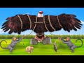 विशाल ईगल पक्षी जाल 2 Giant Eagle Bird Trap Kahani   Hindi Kahaniya   हिंदी कहानिय Moral Stories